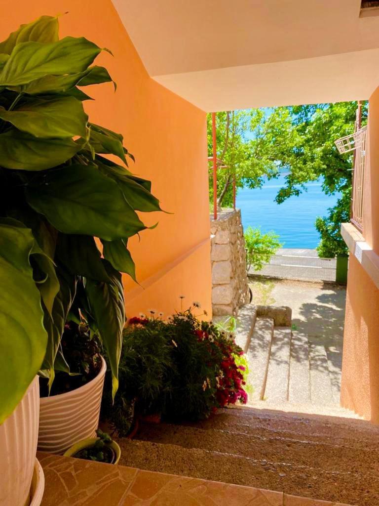 Porat Apartman Stari Grad Kültér fotó