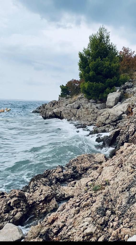 Porat Apartman Stari Grad Kültér fotó